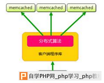 燕十八Memcached分布式集群视频教程下载