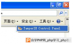 web 安全实践（1）基于http的架构分析常用工具 - 网站安全 - 自学php网