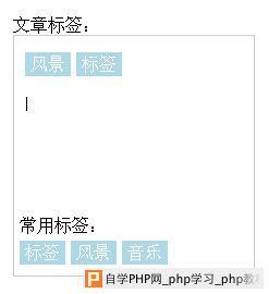 仿新浪qing文章发布时为文章添加标签