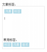 仿新浪博客文章发布时为文章添加标签实现方法