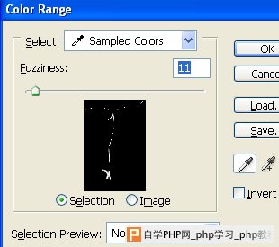 天极设计在线_Photoshop滤镜打造带刺的仙人掌文字特效