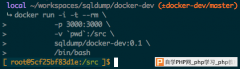 基于 Docker 开发 NodeJS 应用_node.js