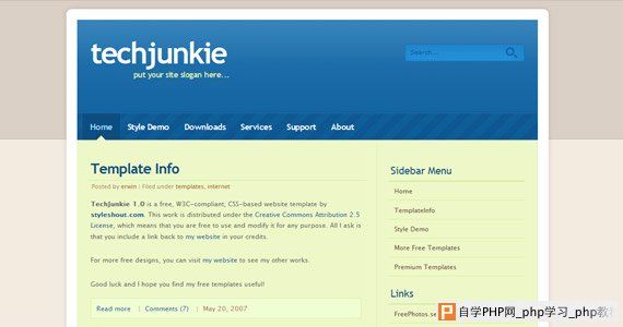 techjunkie-xhtml-css-模板