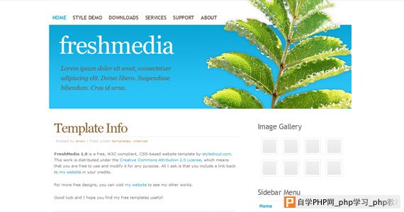 freshmedia-xhtml-css-模板