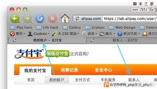 alipay web page title