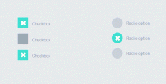 纯css3实现效果超级炫的checkbox复选框和radio单选框