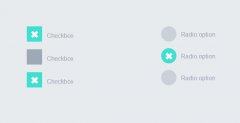 CSS3实例分享--超炫checkbox复选框和radio单选框_cs