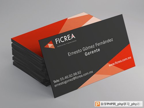 Ficrea Business card