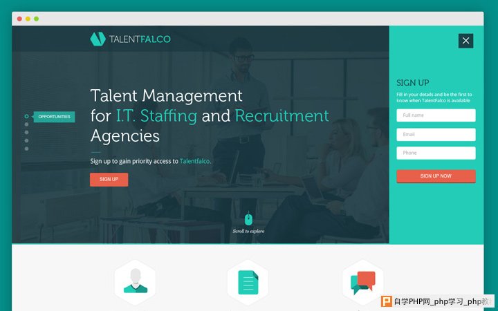talent falco homepage landing page design