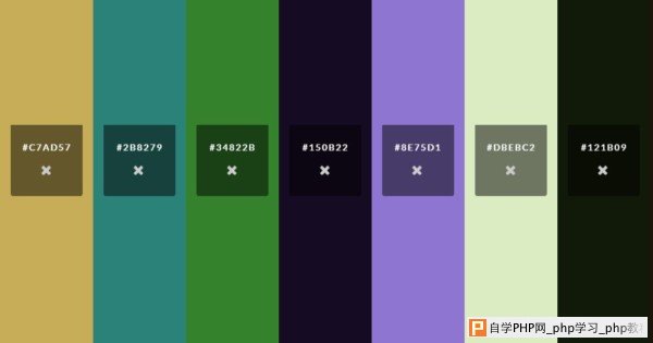 绝对异类的颜色选择器 - color.hailpixel.com 