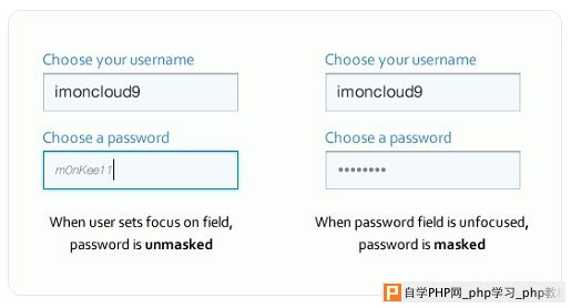 注册表单中密码遮蔽的再设计