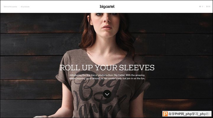 damndigital_21-inspiring-examples-of-big-images-in-web-design_big-cartel-shop