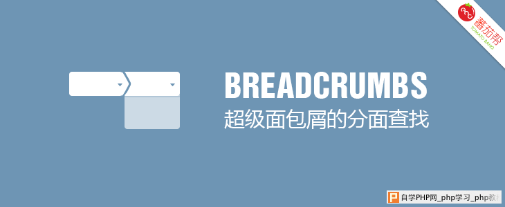 网站设计分析：超级面包屑的分面查找_交互设计