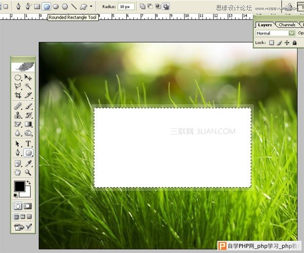Photoshop清新风格绿色登陆框制作教程  三联教程