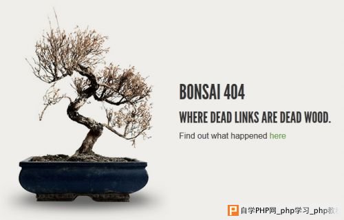 404-error-page-ribot