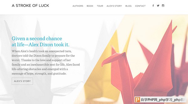 A Stroke of Luck in 35 Minimalistic Website Designs for December 2013