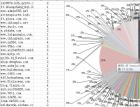 Python3脚本取百度站长平台外链数据分析 - 搜索优