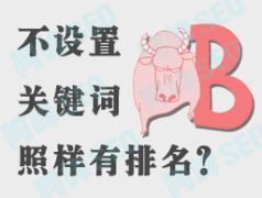 为什么有些网站不设置关键词排名却很好 - 搜索