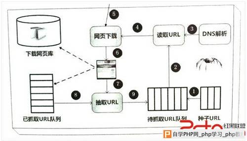 搜索引擎蜘蛛抓取网页规则 - 搜索优化 - 自学p