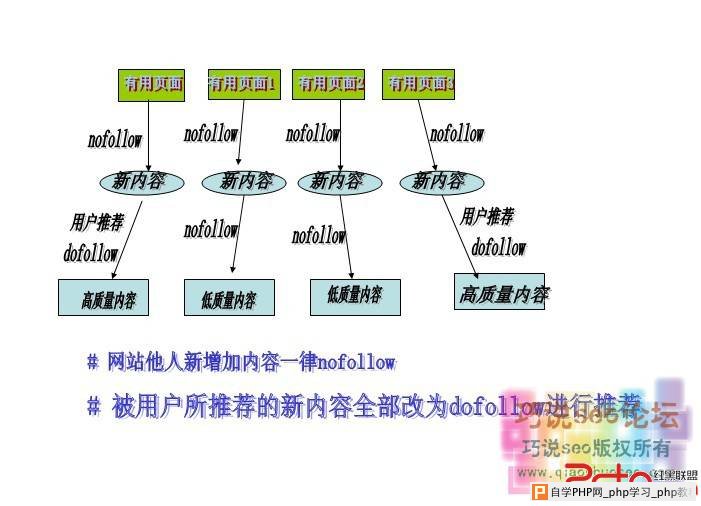 新站该如何进行seo优化最为恰妙 - 搜索优化 - 自