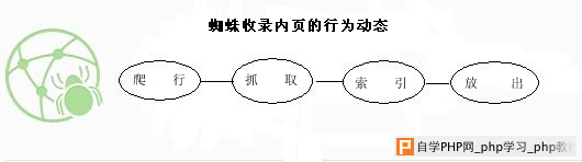 SEO人员都必须弄懂的蜘蛛四大工作原理 - 搜索优