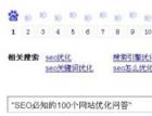 【SEO必知的100个网站优化问答】带来的“投票”