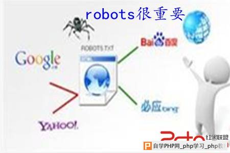 一个站长的robots.txt亲身痛苦经历 - 搜索优化 - 自