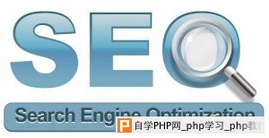 菜鸟快速了解SEO - 搜索优化 - 自学php