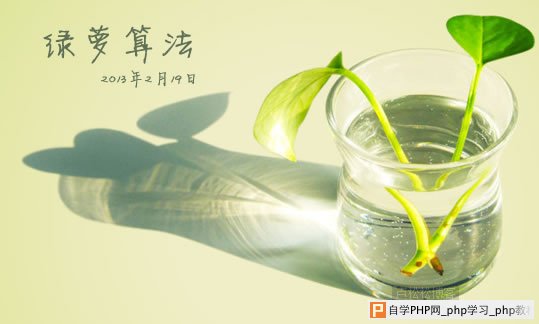 卢松松:也来谈谈百度绿萝算法2.0版