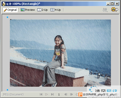 Fireworks MX 2004制作坐在雨中的女孩[多图]图片6