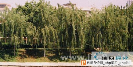 Fireworks效果之水波倒影[多图]图片1