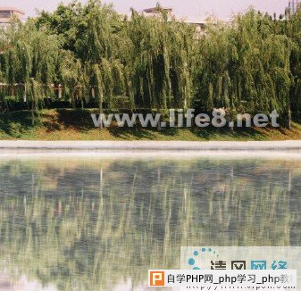 Fireworks效果之水波倒影[多图]图片6