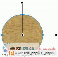 Fireworks绘制逼真象棋棋子[多图]图片3