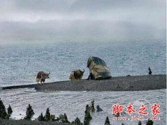 西藏摄影中的技巧分享_摄影教程_网页设计