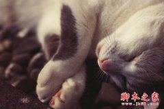 勤能补拙 懒惰摄影师的6个特征是什么_摄影教程