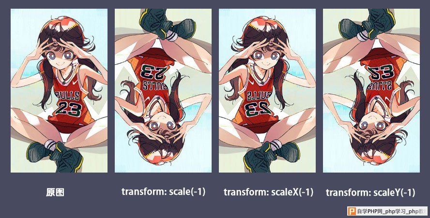 scale()函数取负值时的各种情况