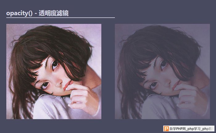 CSS opacity()透明度滤镜的效果