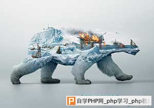 3D北极熊