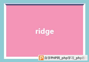 ridge样式的边框