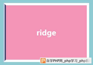 ridge样式的边框