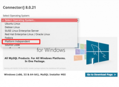 JDBC-idea导入mysql连接java的jar包(mac)的方法