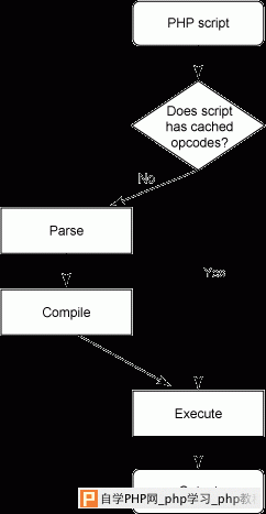 流程图展示逻辑流如何检查缓存的操作码并跳过解析和编译步骤（如果有的话）