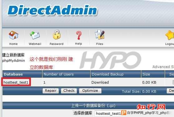 DirectAdmin：如何管理数据库
