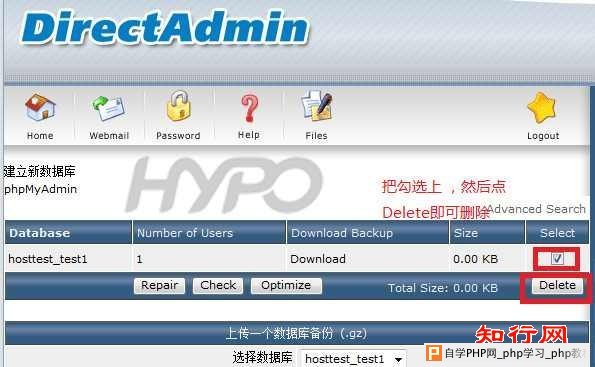 DirectAdmin：如何管理数据库