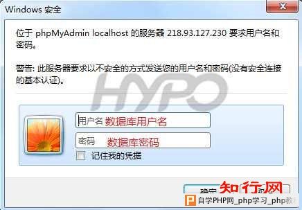 DirectAdmin：如何管理数据库
