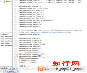 extension=php_redis.dll