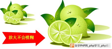 位图跟矢量图的区别