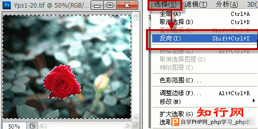 ps反选快捷键