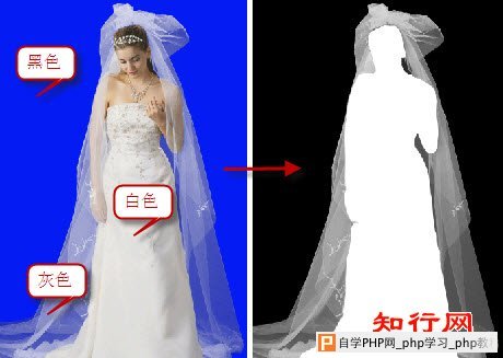 Photoshop婚纱图像的抠取方法